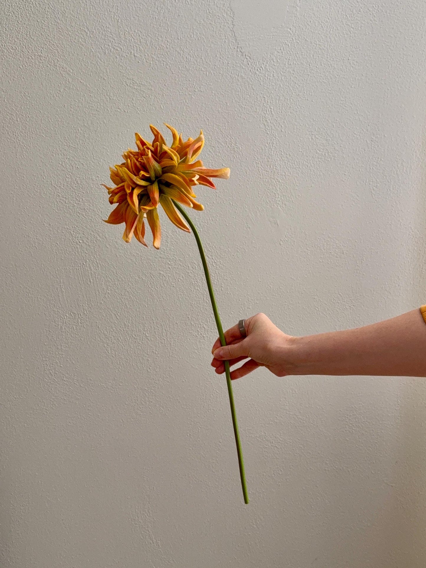Artificial Dahlia Flower, Real Touch Faux Dahlia Stem 20"
