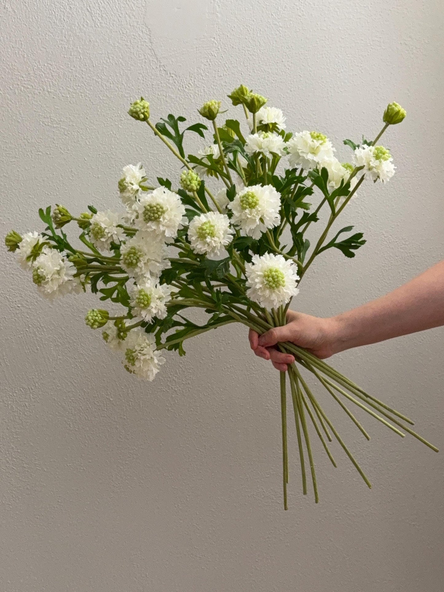 22.5" Artificial White Scabiosa Stem, 3 Head Faux Pincushion Flower, Silk Floral Stem