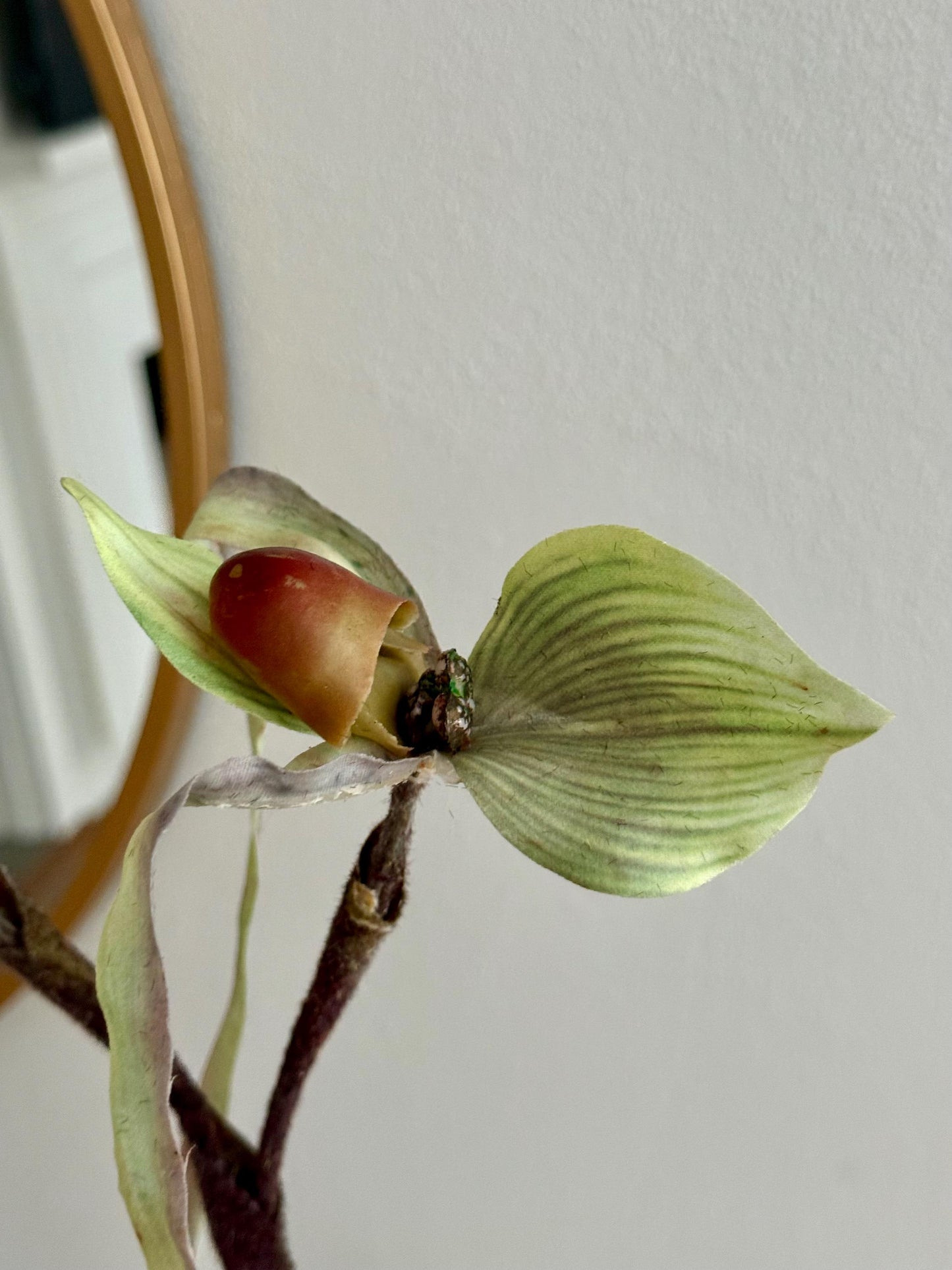 Artificial Lady Slipper Orchid Stem, Real Touch Paphiopedilum Flower 30"