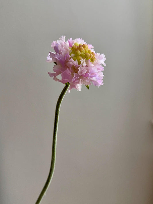 24.4" Artificial Pink Purple Scabiosa Stem, Faux Pincushion Flower, Silk Flower Daisy