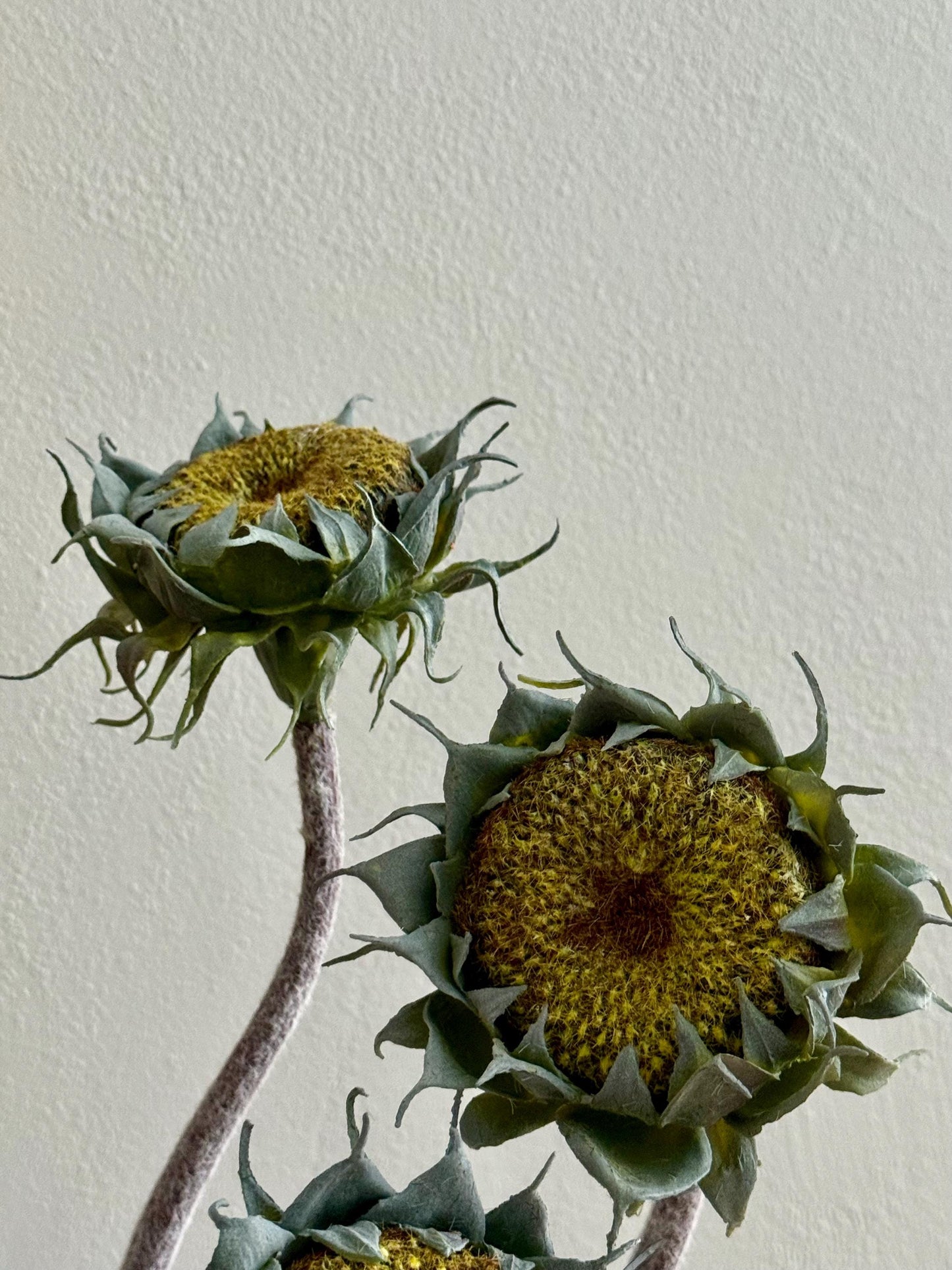 24" Real Touch Sunflower Seed Head Stem, Faux Dried Look Sunflower