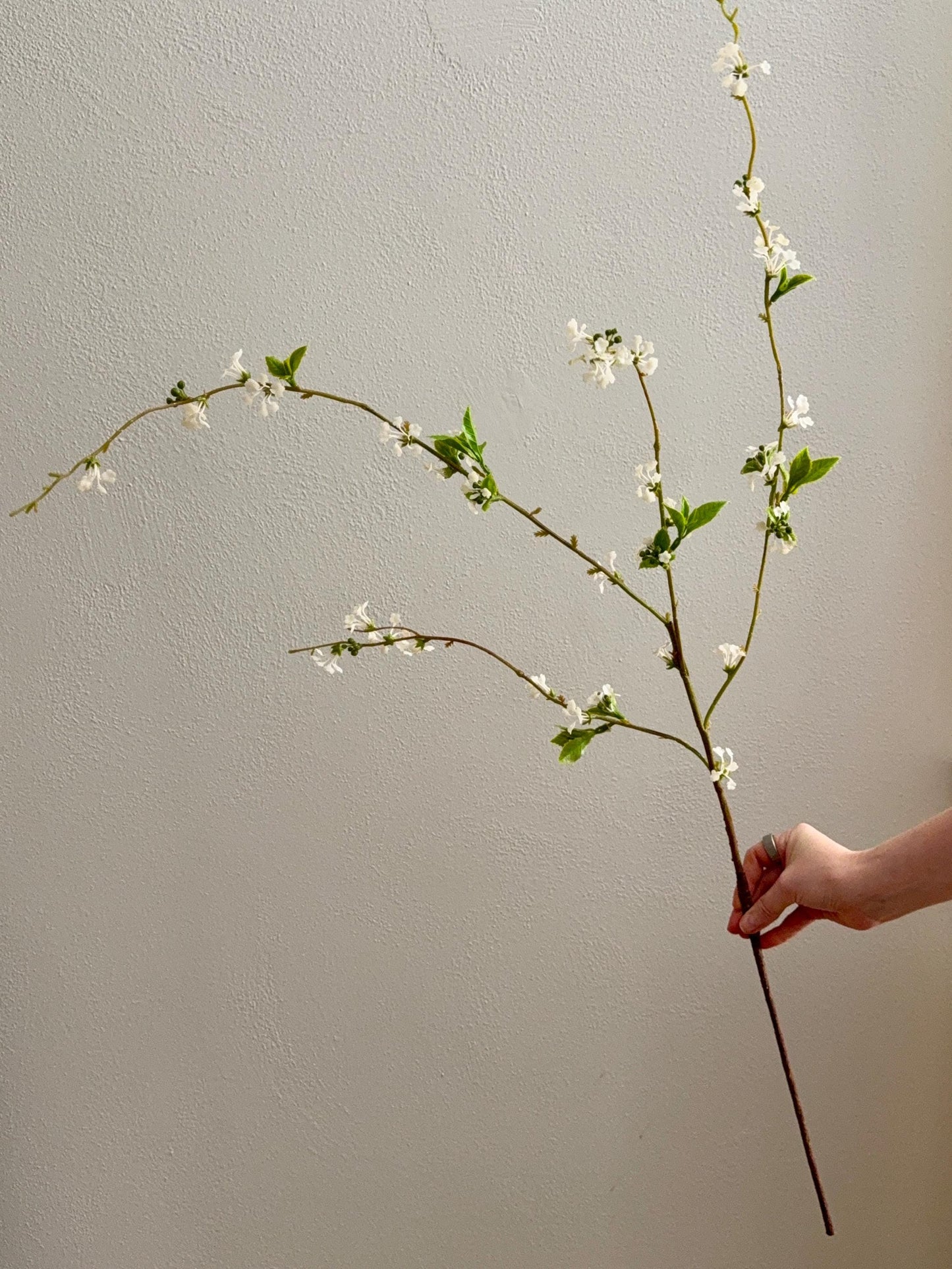 39.5" Artificial Snow Willow Branch White Flowers, Long Faux Greenery Stem